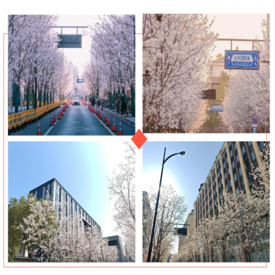 天目里国际街区提升改造项目“五一”正式开园